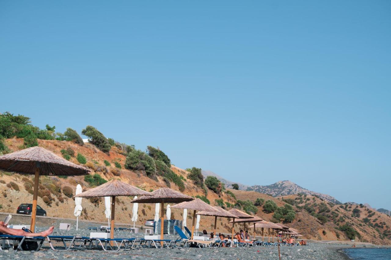 Samothraki Beach Boutique Hotel Makrilies Dış mekan fotoğraf
